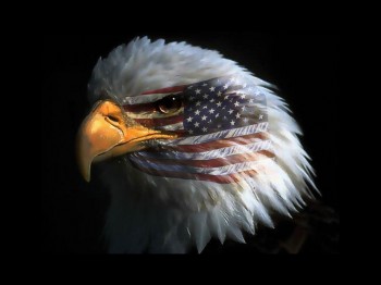 usa eagle with flag